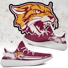 Load image into Gallery viewer, Bethune-Cookman Wildcats NCAA Sport Teams Like Yeezy Boost Shoes T10711 233